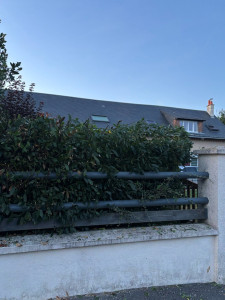 Photo de galerie - Taille de haies et d'arbustes