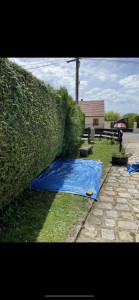 Photo de galerie - Jardinier