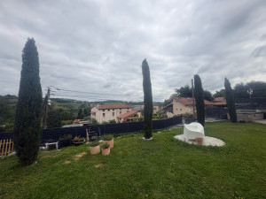 Photo de galerie - Après/Cyprès