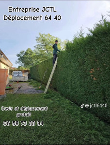 Photo de galerie - Taille de haies et d'arbustes