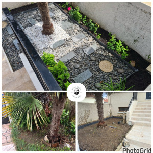 Photo de galerie - Création d’un massif minéral décoratif autour d’un palmier – Koto Green Paysagiste