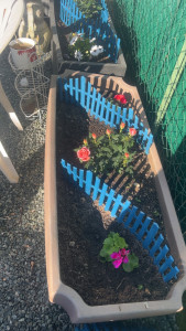 Photo de galerie - Plantation 