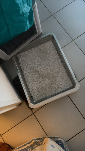 Photo de galerie - J’ai changé la litière du chat, et je passe le voir deux fois par jour le matin et le soir pour le tenir compagnie, lui donner à manger et à boire pendant 3 4  jours, le temps que c’est parents reviennent