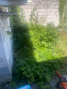 Photo de galerie - Avant debrouissallage 