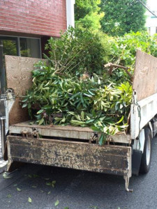 Photo de galerie - Enlèvement des déchets 