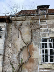 Photo de galerie - J aime effectué tout ce qui concerne le nettoyage et le rangement. 