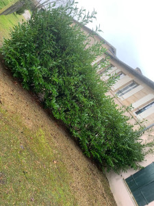 Photo de galerie - Jardinier