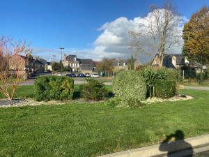 Photo de galerie - Taille de haies et d'arbustes