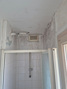 Photo de galerie - Rénovation d'une salle de bain (avant)