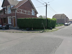 Photo de galerie - Taille de haies et d'arbustes