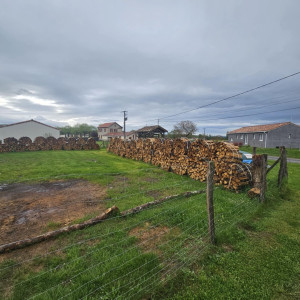 Photo de galerie - Bois de chauffage en différentes longueur , tarifs et renseignements uniquement par téléphone 