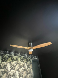 Photo de galerie - Ventilateur plafond 