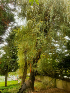 Photo de galerie - Avant 