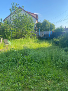 Photo de galerie - Tonte de pelouse - Débroussaillage