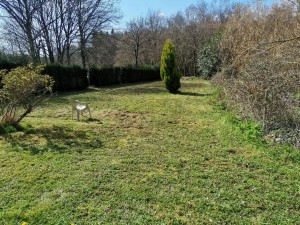 Photo de galerie - Tonte de pelouse - Débroussaillage