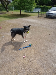 Photo de galerie - Saya 