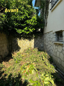 Photo de galerie - Tonte de pelouse - Débroussaillage