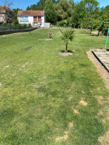 Photo de galerie - Tonte de pelouse et entretiens de jardin