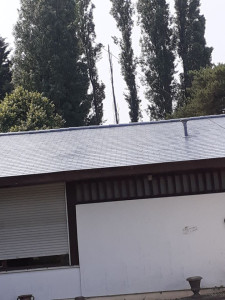 Photo de galerie - Peinture - Tapisserie