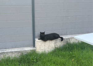 Photo de galerie - Ma minette