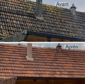 Photo de galerie - Démo sage, application d’hydrofuge incolore