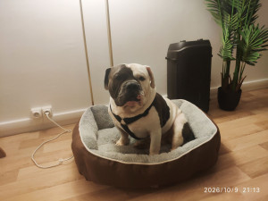 Photo de galerie - Garde de Sohlob chez-nous ❤️