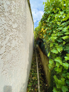 Photo de galerie - Tonte de pelouse - Débroussaillage