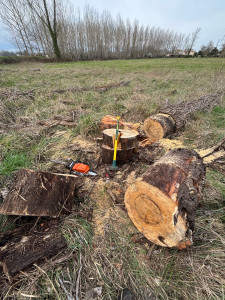 Photo de galerie - Jardinier