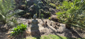 Photo de galerie - Paysagiste - Aménagement du jardin