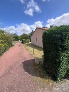 Photo de galerie - Tonte et taille de haie ( Après ) 