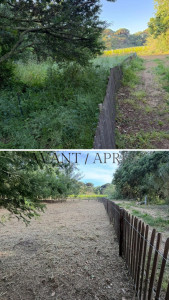 Photo de galerie - Entretien espaces verts