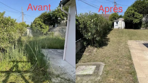 Photo de galerie - Débroussaillage terrain