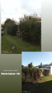 Photo de galerie - Taille de haies et d'arbustes