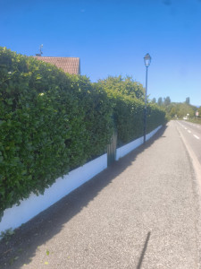 Photo de galerie - Avant
