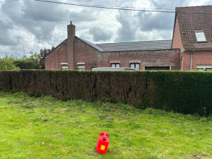 Photo de galerie - Après taillage de haies 