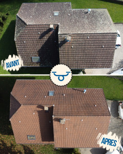 Photo de galerie - Nettoyage de toiture, résultat après 5 mois.