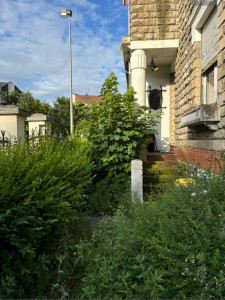 Photo de galerie - Taille 