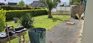 Photo de galerie - Coupe de pelouse et de haies 