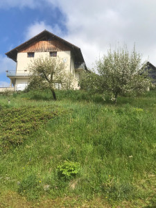 Photo de galerie - Tonte de pelouse - Débroussaillage