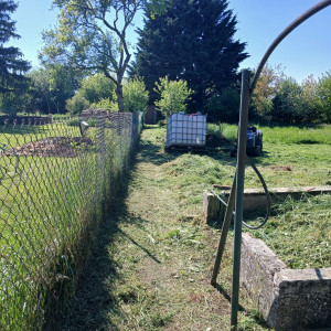 Photo de galerie - Tonte de pelouse - Débroussaillage