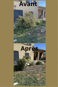 Photo de galerie - Taille