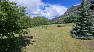 Photo de galerie - Tonte de pelouse - Débroussaillage