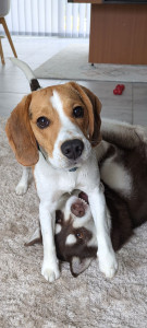 Photo de galerie - Complicité quand tu nous tiens... 