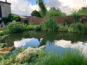 Photo de galerie - Bassin 