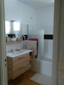 Photo de galerie - remise en état à neuf d'une salle de bain: peinture murale et carrelage, montage et pose mobilier