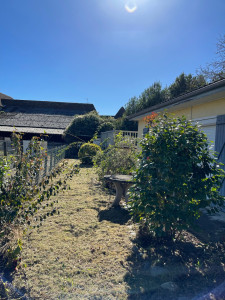 Photo de galerie - De la forêt au jardin 