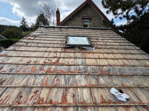 Photo de galerie - Couverture - Toiture