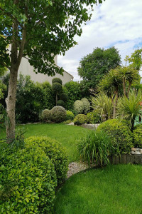 Photo de galerie - Taille de buisson ainsi que tonte d’herbe 