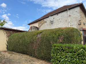 Photo de galerie - Jardinier