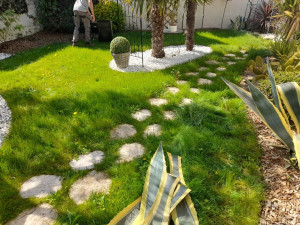 Photo de galerie - Tonte de pelouse - Débroussaillage